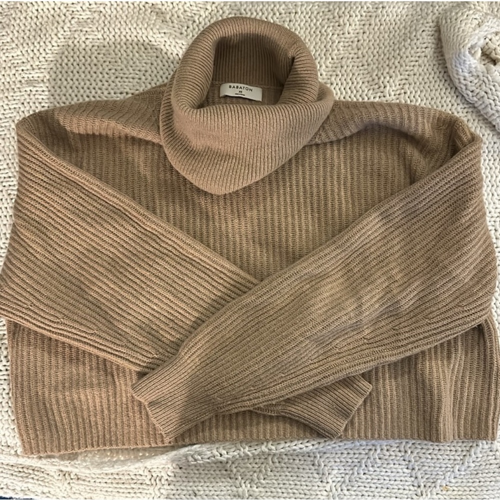 Aritzia Babaton Guell Cashmere Turtleneck Sweater